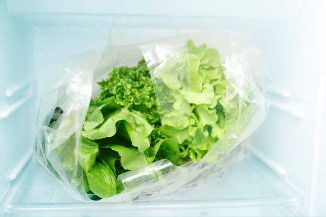 Como conservar alface na geladeira: dicas simples e eficazes